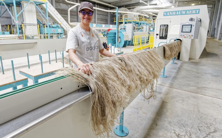 Dans l’Eure, le groupe Depestèle ouvre une usine de teillage de